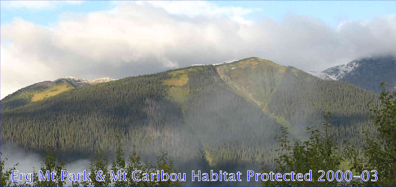 Erg Park, MtCaribou Habitat Protected 00-03 (60 K)