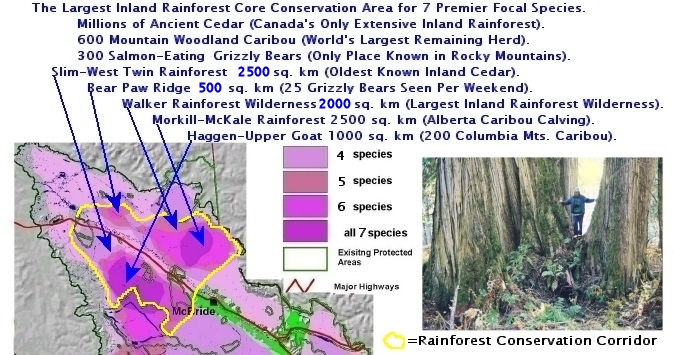 Rainforest Core Conservation Area